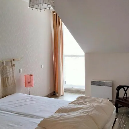 Duplex De Charme - Proche Plage, Port & Rues Pietonnes Avec Parking Prive - Fr-1-331-6